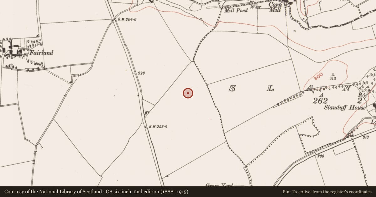 Ordnance Survey six-inch map, 2nd edition (1888–1915) covering the location of Souterrain, Monktown, County Meath, with a pin at the register's coordinates