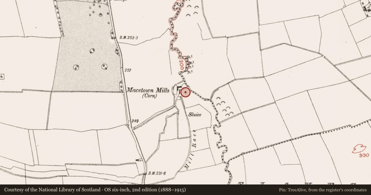 Ordnance Survey six-inch map, 2nd edition (1888–1915) covering the location of Architectural fragment, MacEtown, County Meath, with a pin at the register's coordinates
