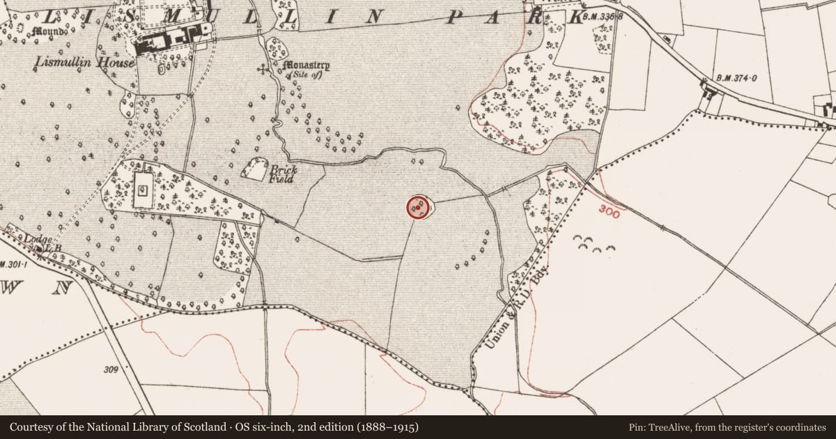 Ordnance Survey six-inch map, 2nd edition (1888–1915) covering the location of Barrow - unclassified, Lismullin, County Meath, with a pin at the register's coordinates
