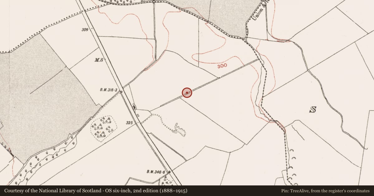 Ordnance Survey six-inch map, 2nd edition (1888–1915) covering the location of Earthwork, Cabragh, County Meath, with a pin at the register's coordinates