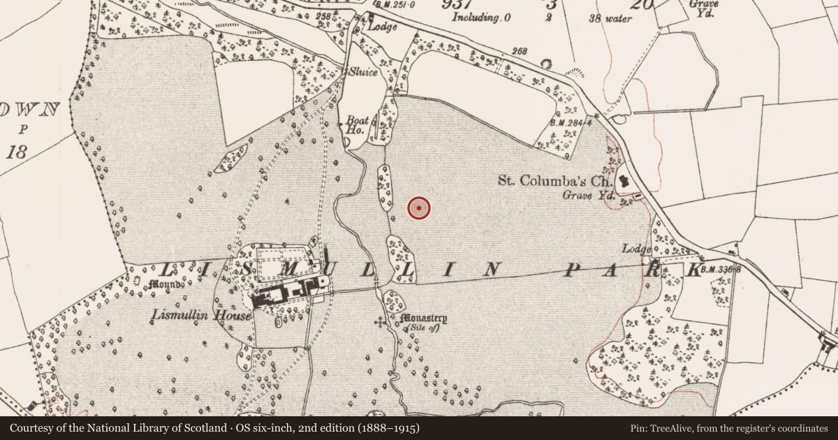Ordnance Survey six-inch map, 2nd edition (1888–1915) covering the location of Timber circle, Lismullin, County Meath, with a pin at the register's coordinates