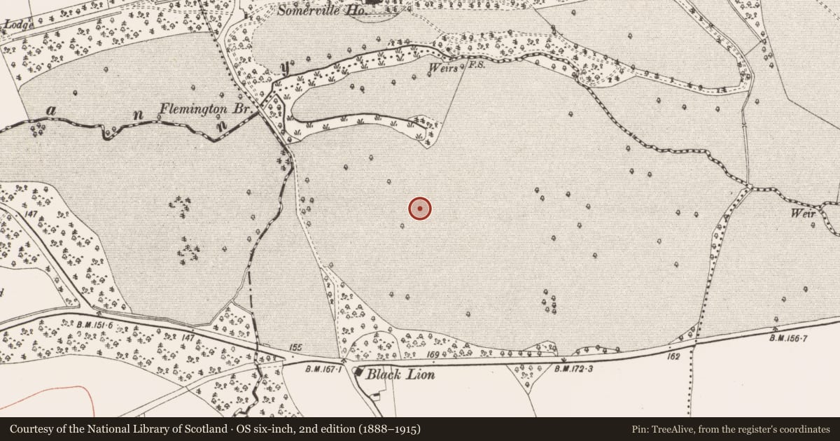 Ordnance Survey six-inch map, 2nd edition (1888–1915) covering the location of Ring-ditch, Burtonstown, County Meath, with a pin at the register's coordinates