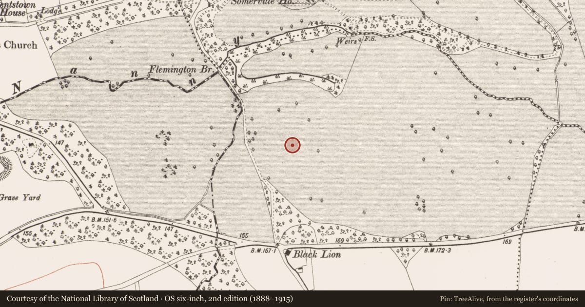 Ordnance Survey six-inch map, 2nd edition (1888–1915) covering the location of Ring-ditch, Burtonstown, County Meath, with a pin at the register's coordinates