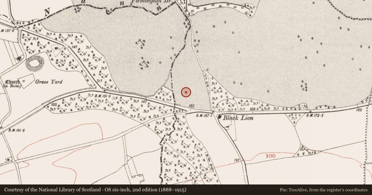 Ordnance Survey six-inch map, 2nd edition (1888–1915) covering the location of Ringfort - rath, Burtonstown, County Meath, with a pin at the register's coordinates