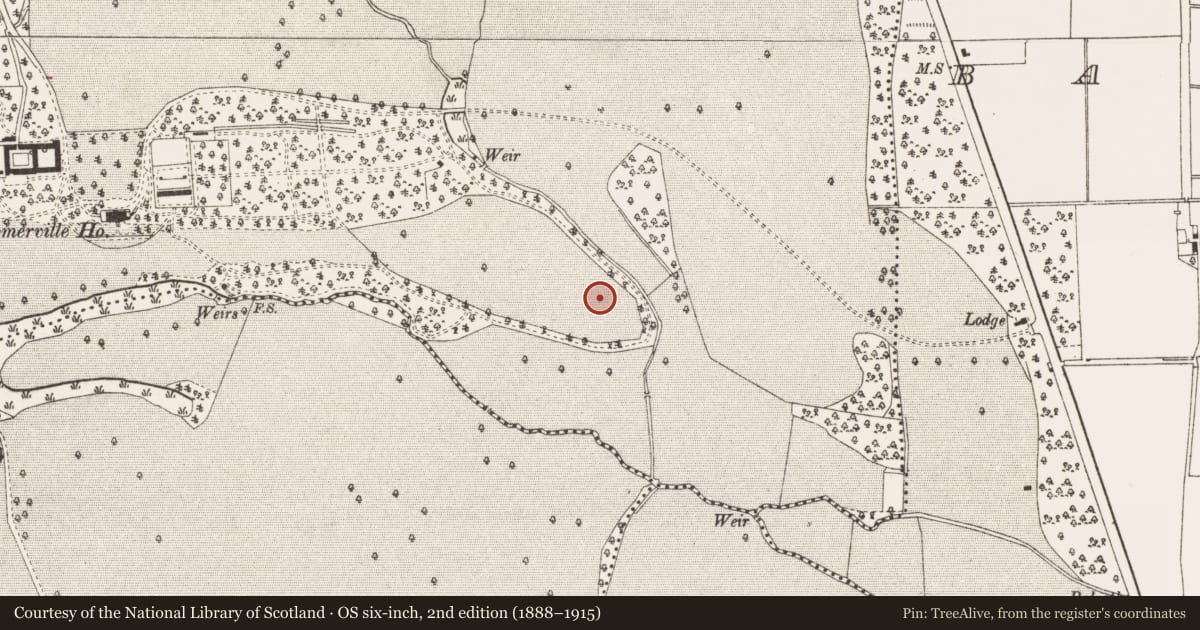 Ordnance Survey six-inch map, 2nd edition (1888–1915) covering the location of Enclosure, Flemingstown, County Meath, with a pin at the register's coordinates