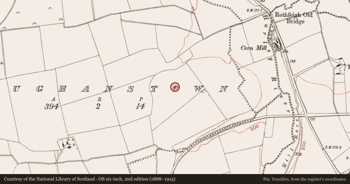 Ordnance Survey six-inch map, 2nd edition (1888–1915) covering the location of Ring-ditch, Loughanstown, County Meath, with a pin at the register's coordinates