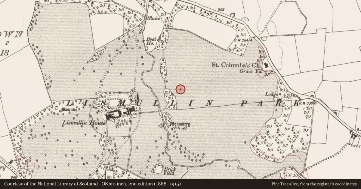 Ordnance Survey six-inch map, 2nd edition (1888–1915) covering the location of Enclosure, Lismullin, County Meath, with a pin at the register's coordinates