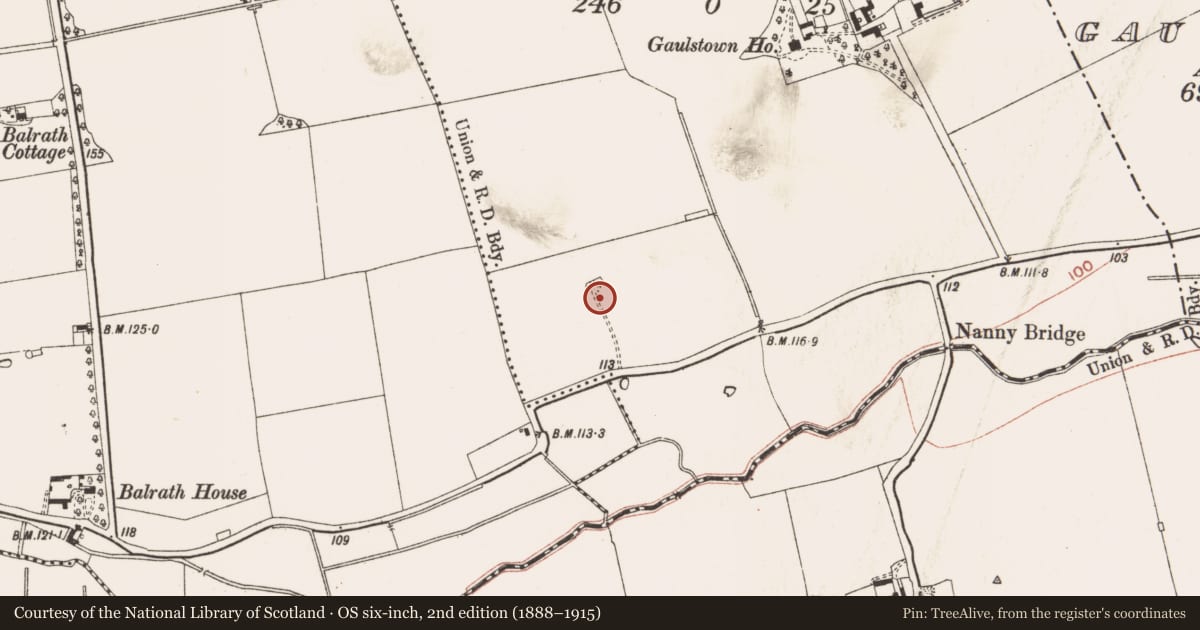 Ordnance Survey six-inch map, 2nd edition (1888–1915) covering the location of Burial, Gaulstown, County Meath, with a pin at the register's coordinates