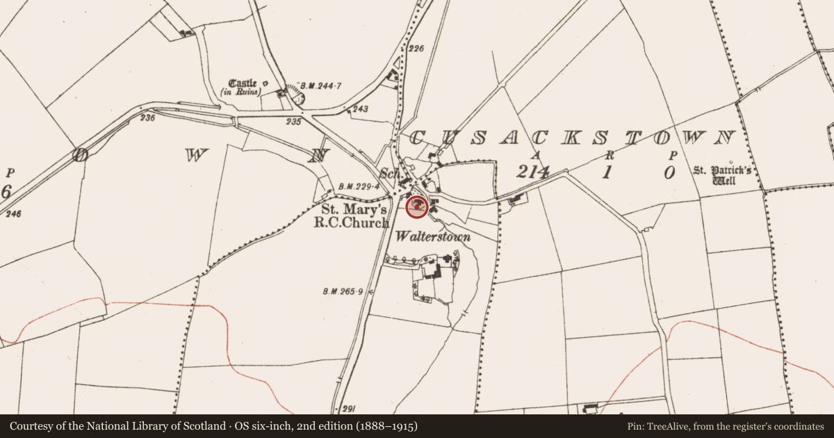 Ordnance Survey six-inch map, 2nd edition (1888–1915) covering the location of Font (present location), Walterstown, County Meath, with a pin at the register's coordinates