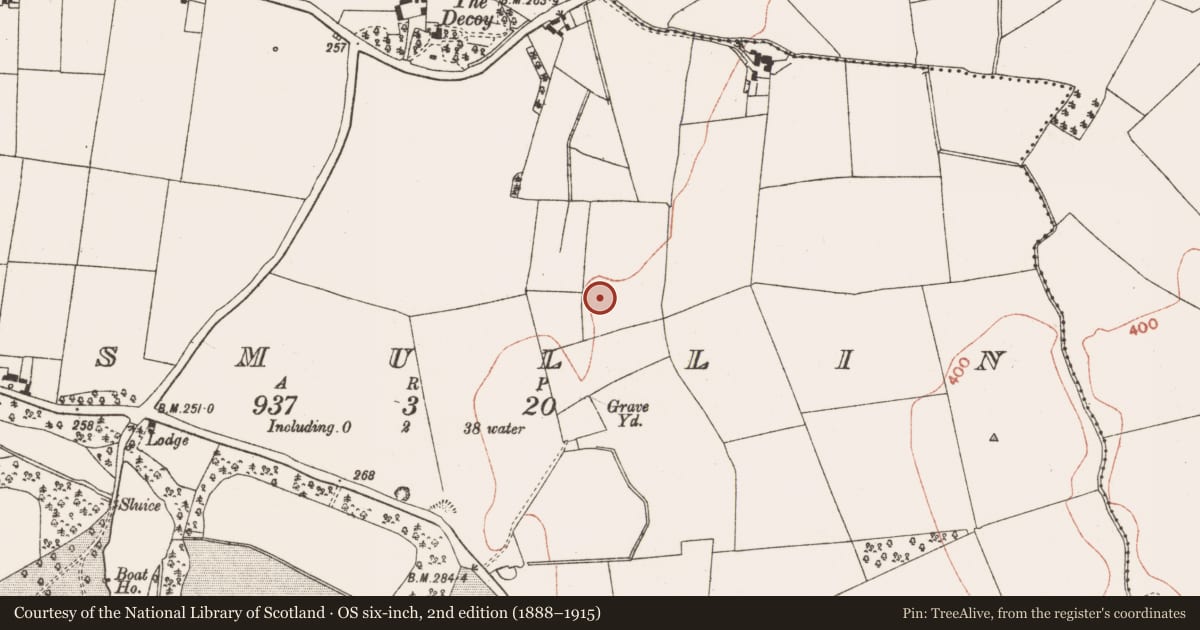 Ordnance Survey six-inch map, 2nd edition (1888–1915) covering the location of Enclosure, Lismullin, County Meath, with a pin at the register's coordinates