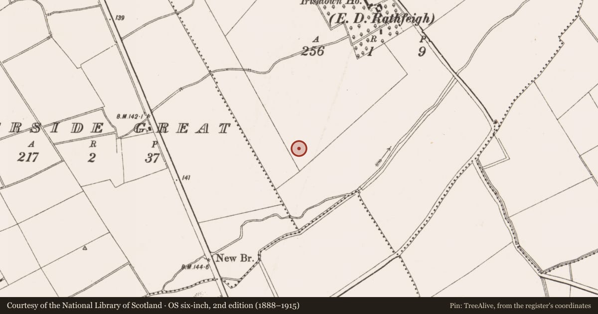 Ordnance Survey six-inch map, 2nd edition (1888–1915) covering the location of Ring-ditch, Irishtown (Skreen By., Timoole Par.), County Meath, with a pin at the register's coordinates