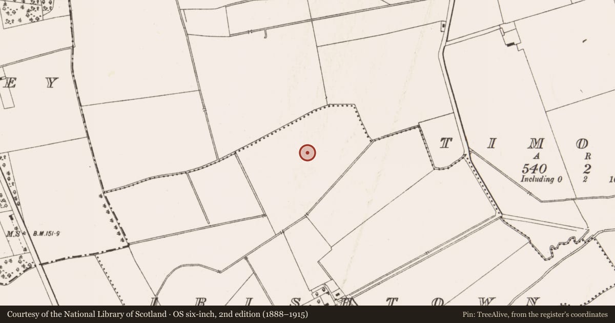Ordnance Survey six-inch map, 2nd edition (1888–1915) covering the location of Ringfort - rath, Irishtown (Skreen By., Timoole Par.), County Meath, with a pin at the register's coordinates