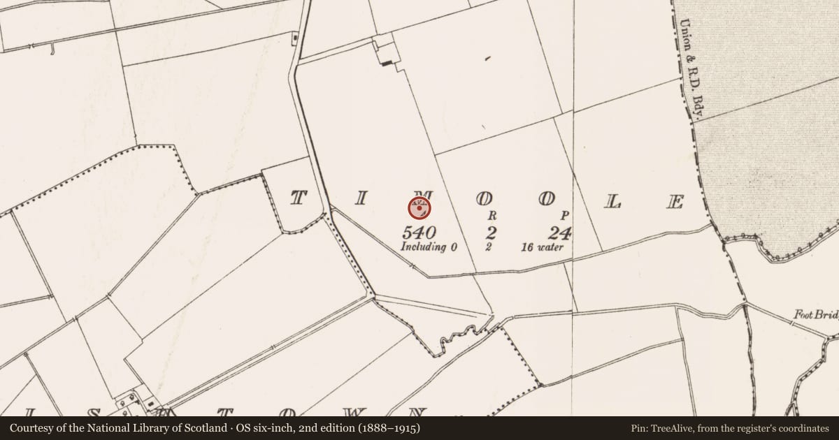 Ordnance Survey six-inch map, 2nd edition (1888–1915) covering the location of Enclosure, Timoole, County Meath, with a pin at the register's coordinates