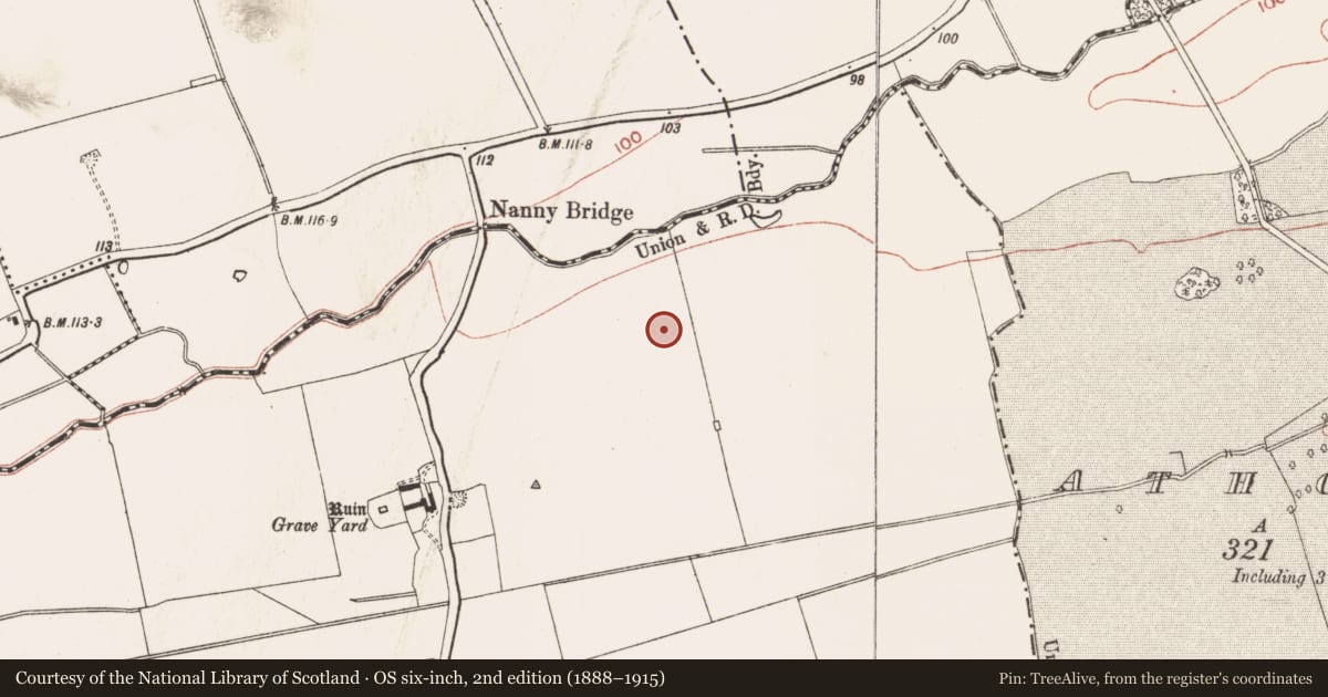 Ordnance Survey six-inch map, 2nd edition (1888–1915) covering the location of Enclosure, Timoole, County Meath, with a pin at the register's coordinates
