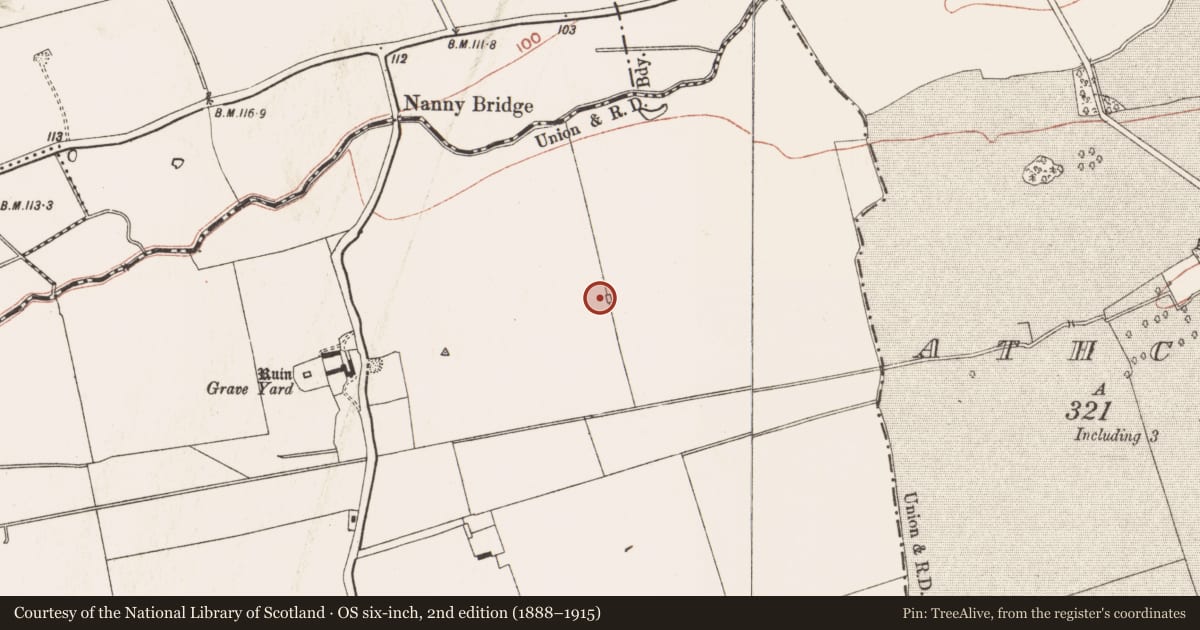 Ordnance Survey six-inch map, 2nd edition (1888–1915) covering the location of Ring-ditch, Timoole, County Meath, with a pin at the register's coordinates