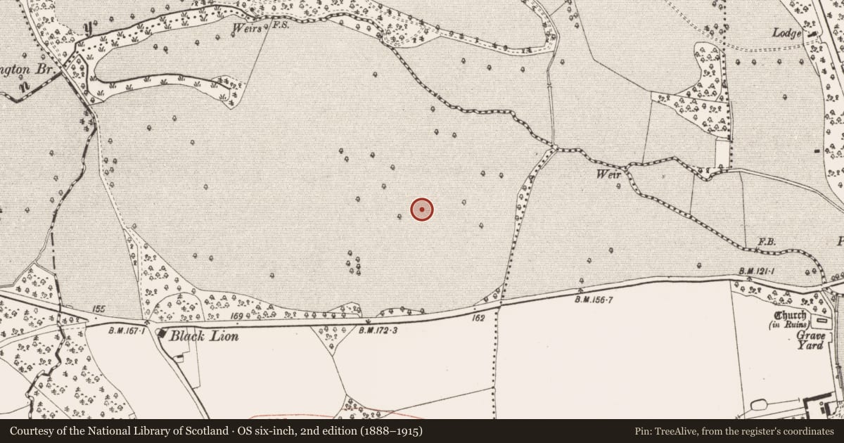 Ordnance Survey six-inch map, 2nd edition (1888–1915) covering the location of Ring-ditch, Burtonstown, County Meath, with a pin at the register's coordinates