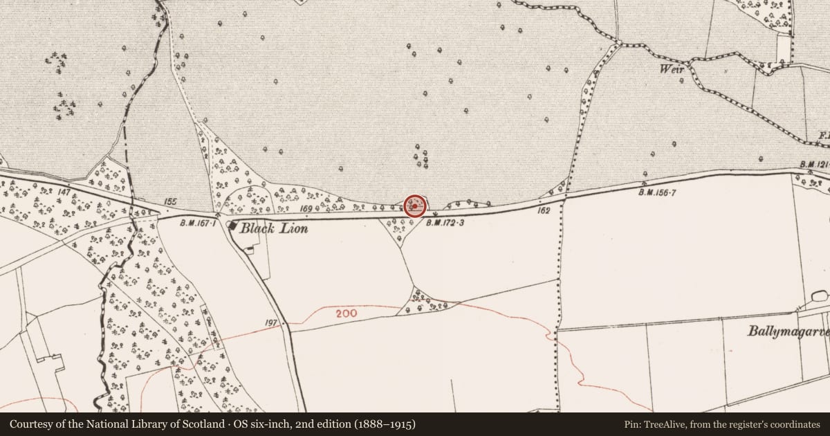 Ordnance Survey six-inch map, 2nd edition (1888–1915) covering the location of Enclosure, Burtonstown, County Meath, with a pin at the register's coordinates