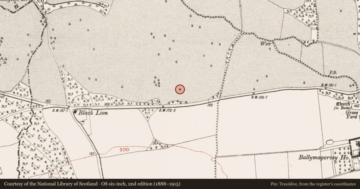 Ordnance Survey six-inch map, 2nd edition (1888–1915) covering the location of Ringfort - rath, Burtonstown, County Meath, with a pin at the register's coordinates