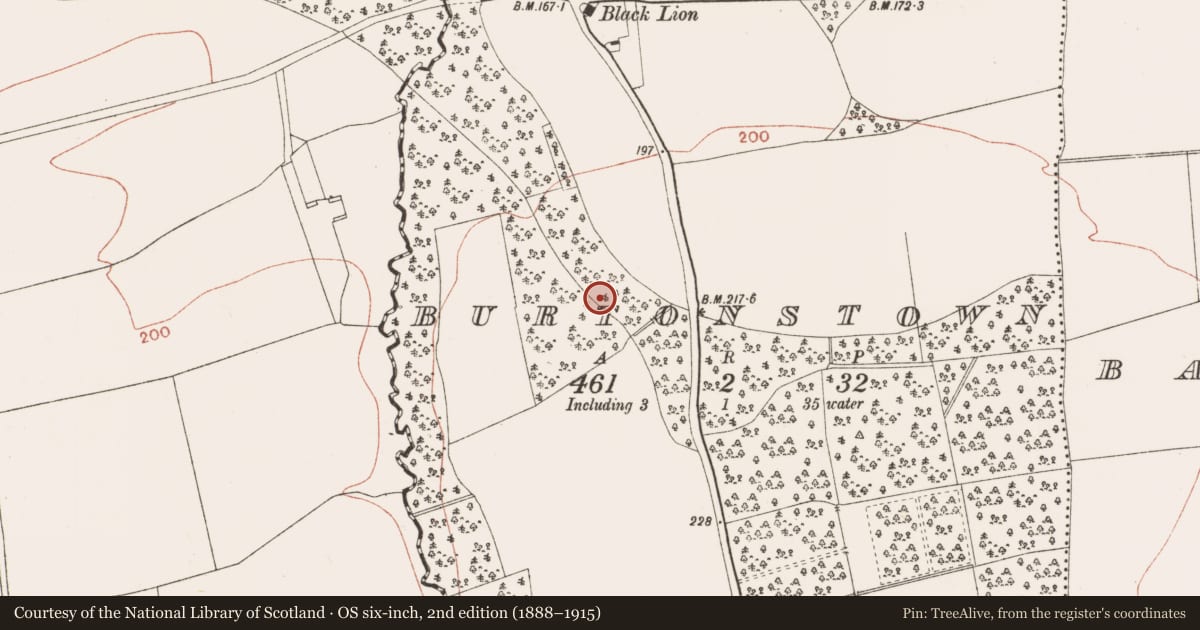 Ordnance Survey six-inch map, 2nd edition (1888–1915) covering the location of Enclosure, Burtonstown, County Meath, with a pin at the register's coordinates