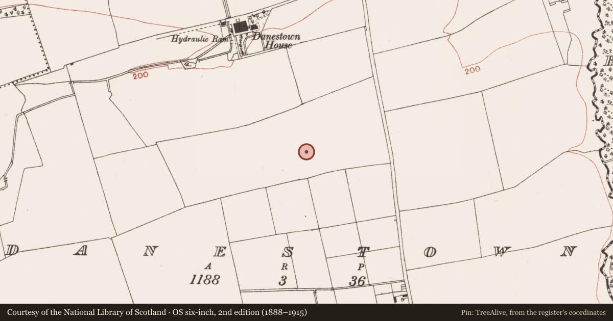 Ordnance Survey six-inch map, 2nd edition (1888–1915) covering the location of Ring-ditch, Danestown, County Meath, with a pin at the register's coordinates