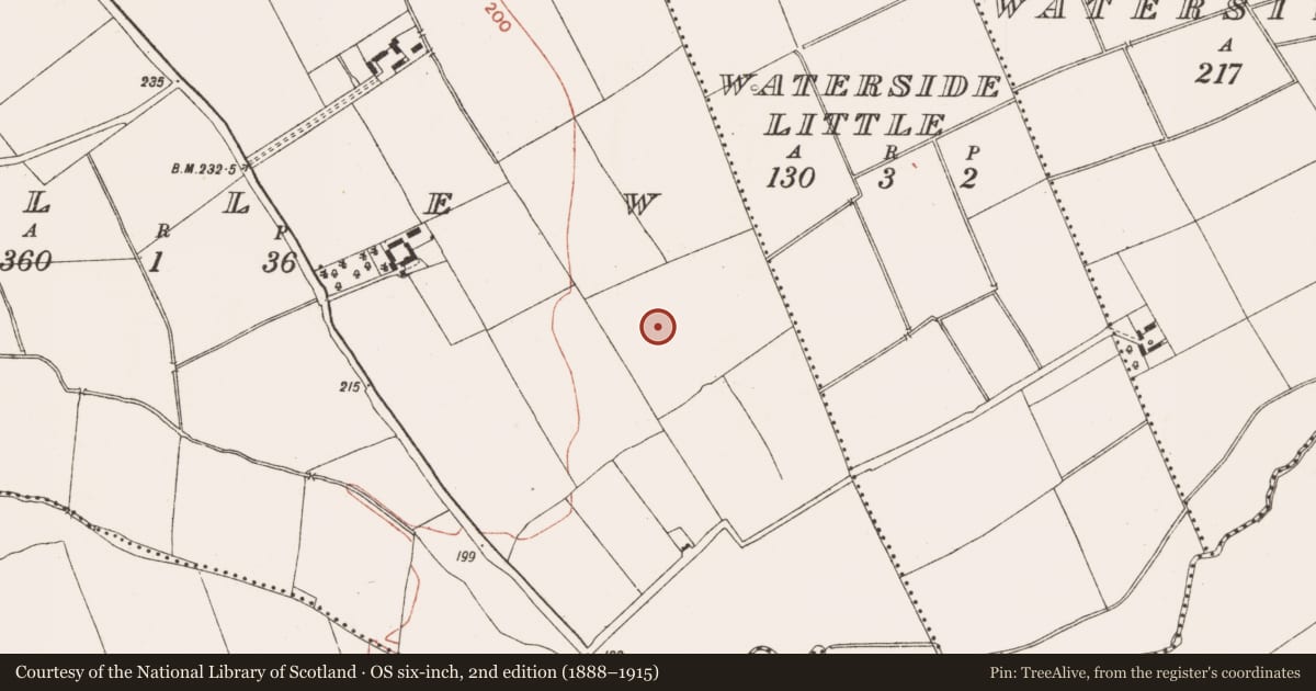 Ordnance Survey six-inch map, 2nd edition (1888–1915) covering the location of Enclosure, Bellew, County Meath, with a pin at the register's coordinates