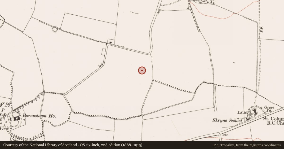 Ordnance Survey six-inch map, 2nd edition (1888–1915) covering the location of Ring-ditch, Skreen, County Meath, with a pin at the register's coordinates