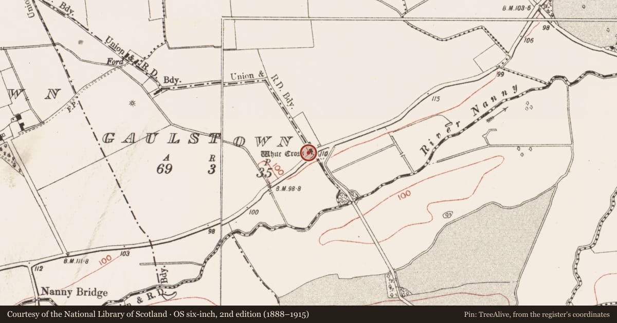 Ordnance Survey six-inch map, 2nd edition (1888–1915) covering the location of Cross - Wayside cross, Gaulstown, County Meath, with a pin at the register's coordinates
