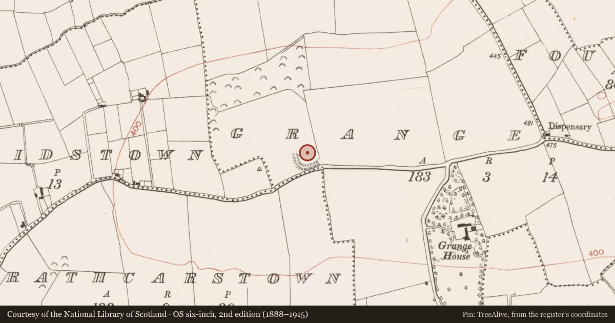 Ordnance Survey six-inch map, 2nd edition (1888–1915) covering the location of Ringfort - rath, Grange, County Meath, with a pin at the register's coordinates
