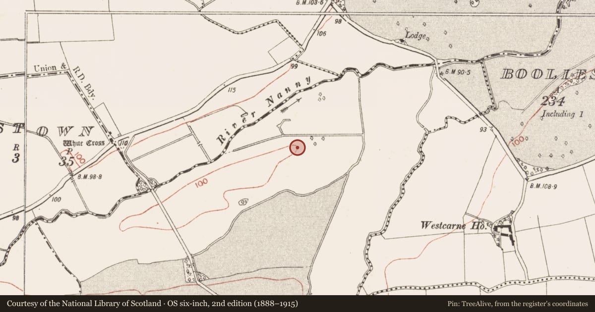 Ordnance Survey six-inch map, 2nd edition (1888–1915) covering the location of Ring-ditch, Athcarne, County Meath, with a pin at the register's coordinates