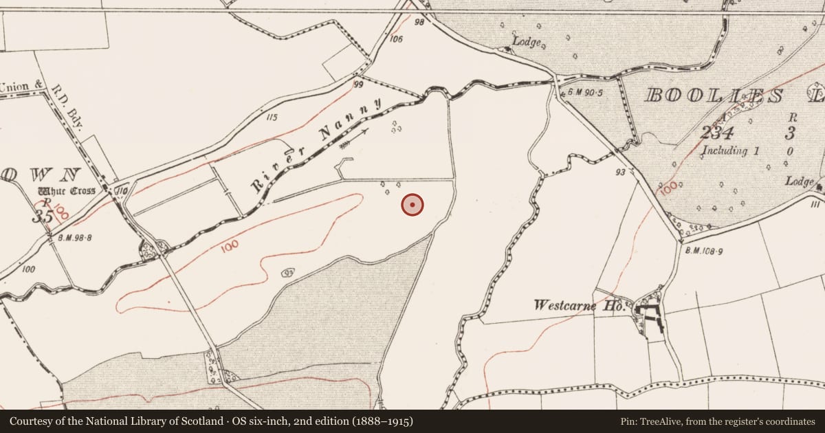 Ordnance Survey six-inch map, 2nd edition (1888–1915) covering the location of Ringfort - rath, Athcarne, County Meath, with a pin at the register's coordinates