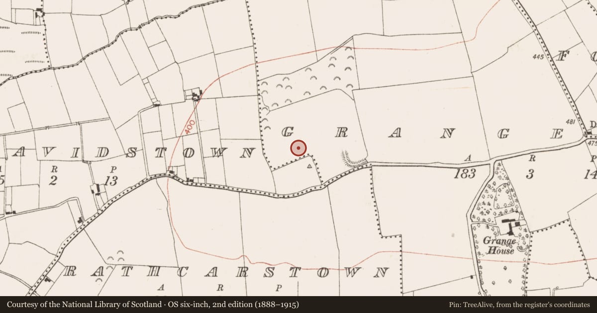 Ordnance Survey six-inch map, 2nd edition (1888–1915) covering the location of Enclosure, Grange, County Meath, with a pin at the register's coordinates