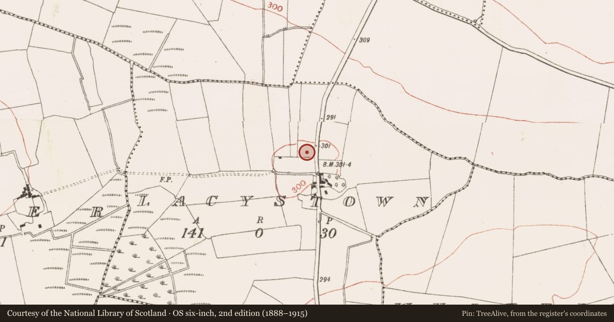 Ordnance Survey six-inch map, 2nd edition (1888–1915) covering the location of Ring-ditch, Lacystown, County Meath, with a pin at the register's coordinates