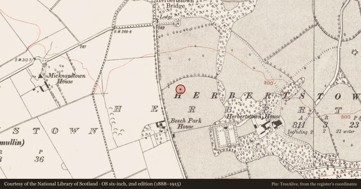 Ordnance Survey six-inch map, 2nd edition (1888–1915) covering the location of Enclosure, Herbertstown, County Meath, with a pin at the register's coordinates