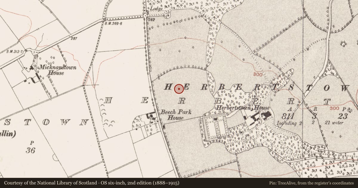 Ordnance Survey six-inch map, 2nd edition (1888–1915) covering the location of Enclosure, Herbertstown, County Meath, with a pin at the register's coordinates