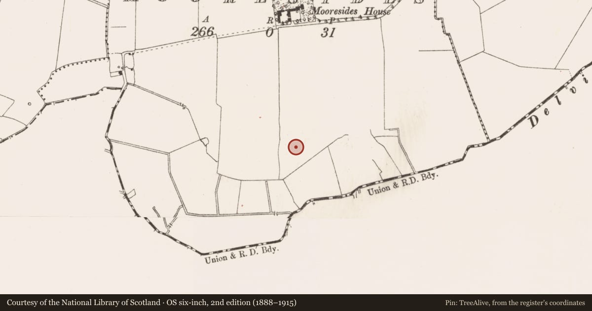Ordnance Survey six-inch map, 2nd edition (1888–1915) covering the location of Field system, Mooresides, County Meath, with a pin at the register's coordinates
