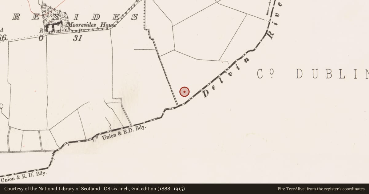 Ordnance Survey six-inch map, 2nd edition (1888–1915) covering the location of Ringfort - rath, Bodingtown, County Meath, with a pin at the register's coordinates