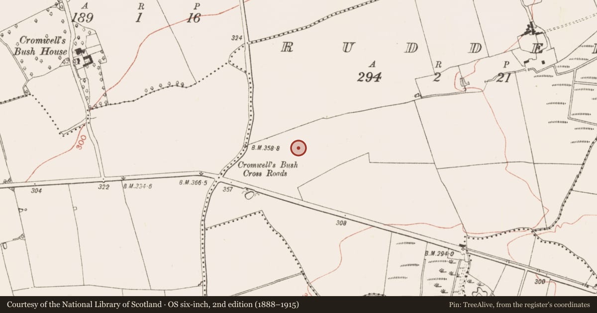 Ordnance Survey six-inch map, 2nd edition (1888–1915) covering the location of Ringfort - rath, Rudder, County Meath, with a pin at the register's coordinates