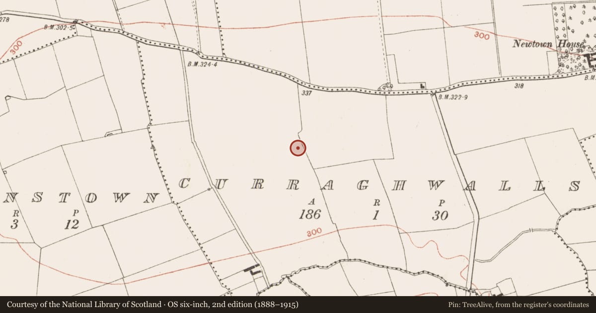 Ordnance Survey six-inch map, 2nd edition (1888–1915) covering the location of Field system, Curraghwalls, County Meath, with a pin at the register's coordinates