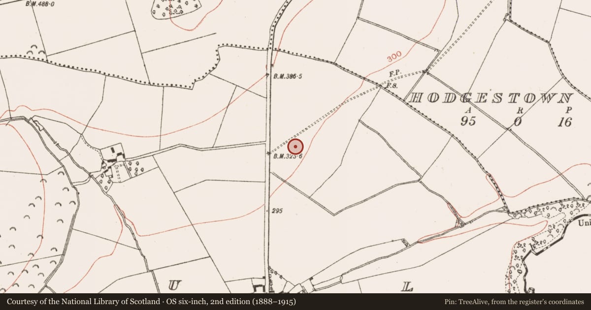 Ordnance Survey six-inch map, 2nd edition (1888–1915) covering the location of Field system, Naul, County Meath, with a pin at the register's coordinates