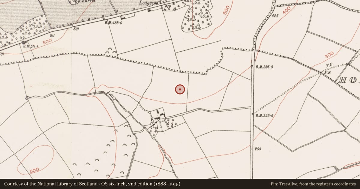 Ordnance Survey six-inch map, 2nd edition (1888–1915) covering the location of Enclosure, Naul, County Meath, with a pin at the register's coordinates
