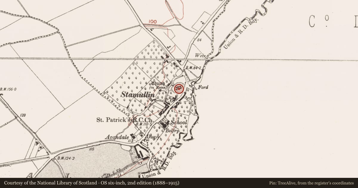 Ordnance Survey six-inch map, 2nd edition (1888–1915) covering the location of Tomb - effigial, Stamullin, County Meath, with a pin at the register's coordinates