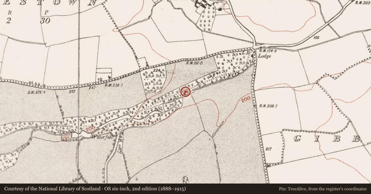 Ordnance Survey six-inch map, 2nd edition (1888–1915) covering the location of Souterrain, Herbertstown, County Meath, with a pin at the register's coordinates