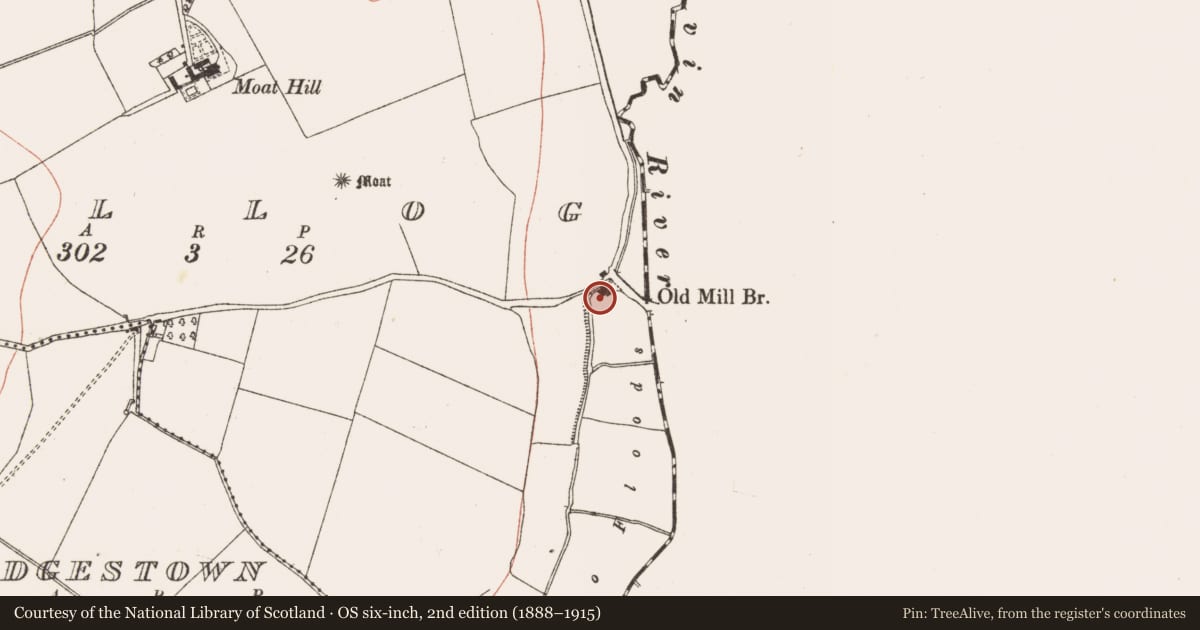 Ordnance Survey six-inch map, 2nd edition (1888–1915) covering the location of Mill - corn, Tullog, County Meath, with a pin at the register's coordinates