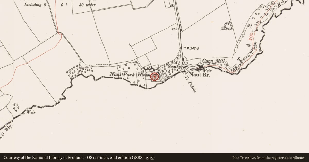 Ordnance Survey six-inch map, 2nd edition (1888–1915) covering the location of Castle - unclassified, Naul, County Meath, with a pin at the register's coordinates