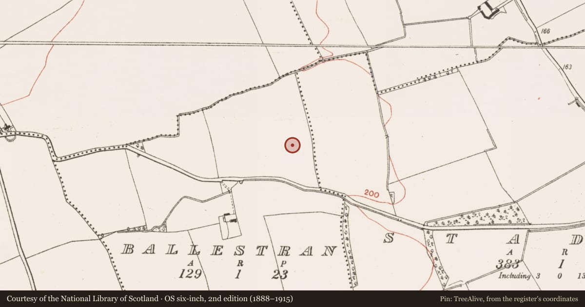 Ordnance Survey six-inch map, 2nd edition (1888–1915) covering the location of Field system, Ballestran, County Meath, with a pin at the register's coordinates