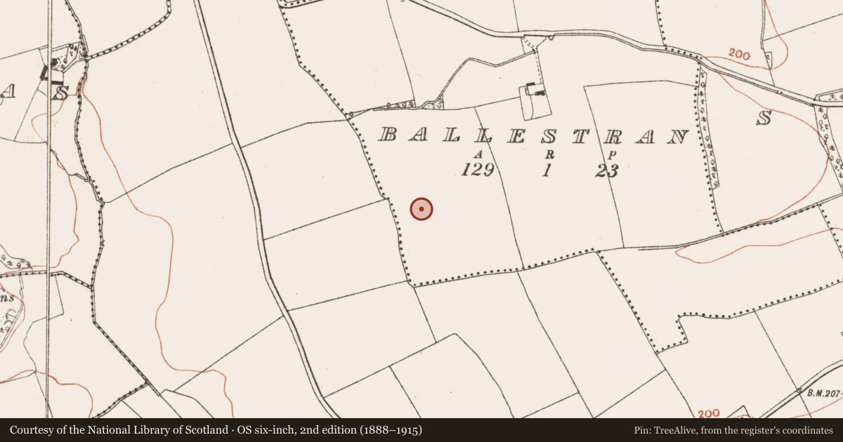 Ordnance Survey six-inch map, 2nd edition (1888–1915) covering the location of Ring-ditch, Ballestran, County Meath, with a pin at the register's coordinates