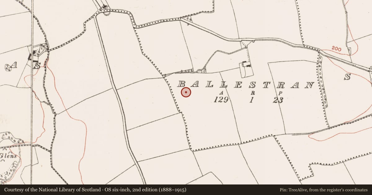 Ordnance Survey six-inch map, 2nd edition (1888–1915) covering the location of Field system, Ballestran, County Meath, with a pin at the register's coordinates