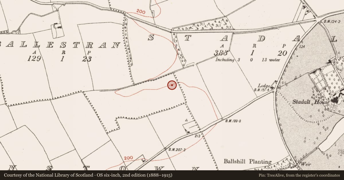 Ordnance Survey six-inch map, 2nd edition (1888–1915) covering the location of Enclosure, Ballestran, County Meath, with a pin at the register's coordinates