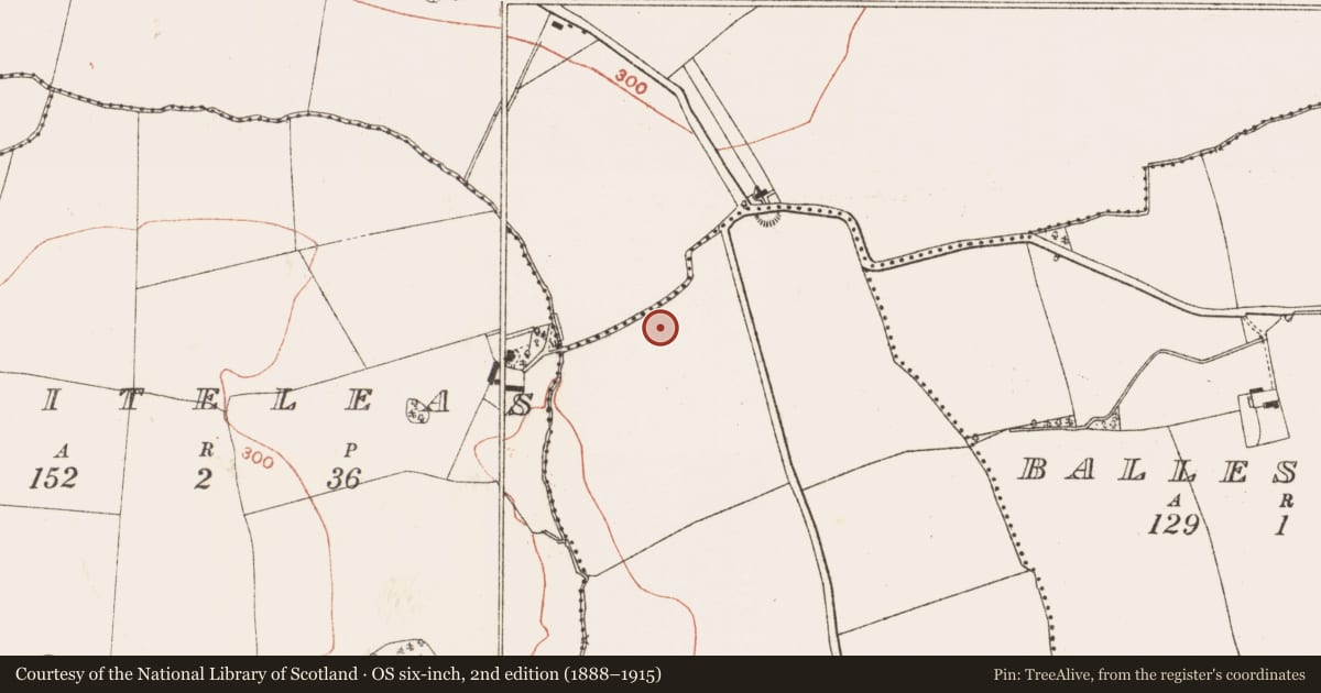 Ordnance Survey six-inch map, 2nd edition (1888–1915) covering the location of Enclosure, Clinstown, County Meath, with a pin at the register's coordinates