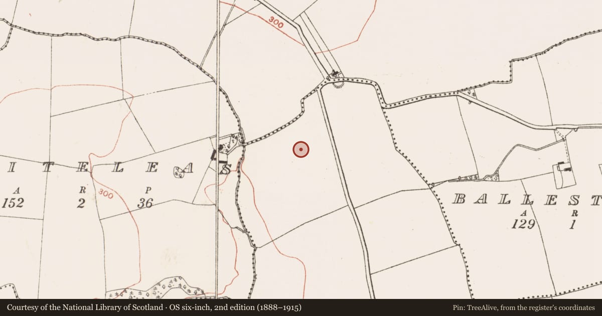 Ordnance Survey six-inch map, 2nd edition (1888–1915) covering the location of Field system, Clinstown, County Meath, with a pin at the register's coordinates